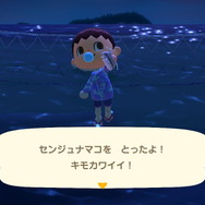 『あつまれ どうぶつの森』虫/魚/海の幸の全てに初登場あり! 発売初期の生物も再登場する「11月の新生物一覧」をお届け