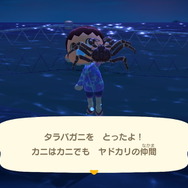 『あつまれ どうぶつの森』虫/魚/海の幸の全てに初登場あり! 発売初期の生物も再登場する「11月の新生物一覧」をお届け