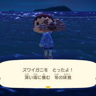 『あつまれ どうぶつの森』虫/魚/海の幸の全てに初登場あり! 発売初期の生物も再登場する「11月の新生物一覧」をお届け