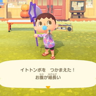 『あつまれ どうぶつの森』虫/魚/海の幸の全てに初登場あり! 発売初期の生物も再登場する「11月の新生物一覧」をお届け