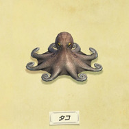 UFO？お面？『あつまれ どうぶつの森』で採れる「メンダコ」は深海のマスコット！【平坂寛の『あつ森』博物誌】