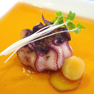 UFO？お面？『あつまれ どうぶつの森』で採れる「メンダコ」は深海のマスコット！【平坂寛の『あつ森』博物誌】