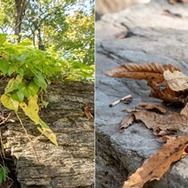 緑豊かな大自然での『Outward』リアル体験会レポート！アーチェリーや火起こし、探索など“サバイバル”感あふれるイベントに大興奮