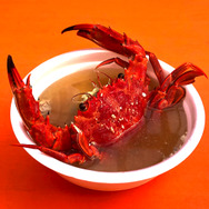 変な名前だがウマい！『あつまれ どうぶつの森』に登場する「ガザミ」ってどんなカニ？【平坂寛の『あつ森』博物誌】