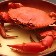 変な名前だがウマい！『あつまれ どうぶつの森』に登場する「ガザミ」ってどんなカニ？【平坂寛の『あつ森』博物誌】