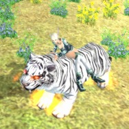 【インタビュー】初心者でも楽しめる！女性も半数近く登録のMMORPG『パーフェクトワールド』