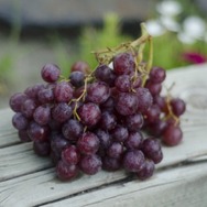 今年もボジョレー・ヌーヴォーが解禁！ 歴代のキャッチコピーと共に振り返るゲームのワイン【特集】【UPDATE】