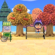 『あつまれ どうぶつの森』公式の「Ninten島」は“あえて地味に見せかける技術”がすごい！ 夢を使って訪問してみよう