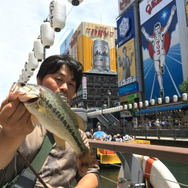 北米出身！『あつまれ どうぶつの森』に登場する「ブラックバス」ってどんな魚？【平坂寛の『あつ森』博物誌】