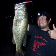 北米出身！『あつまれ どうぶつの森』に登場する「ブラックバス」ってどんな魚？【平坂寛の『あつ森』博物誌】