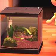 北米出身！『あつまれ どうぶつの森』に登場する「ブラックバス」ってどんな魚？【平坂寛の『あつ森』博物誌】