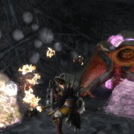 モンスターハンター3(トライ)