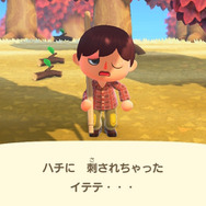 木を揺らして巣が落ちてくるって現実にあり得る?『あつまれ どうぶつの森』の「ハチ」について【平坂寛の『あつ森』博物誌】
