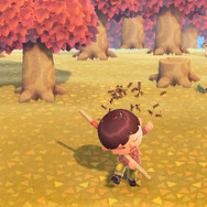 木を揺らして巣が落ちてくるって現実にあり得る?『あつまれ どうぶつの森』の「ハチ」について【平坂寛の『あつ森』博物誌】