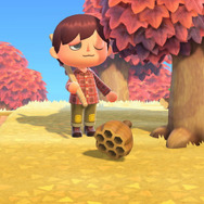 木を揺らして巣が落ちてくるって現実にあり得る?『あつまれ どうぶつの森』の「ハチ」について【平坂寛の『あつ森』博物誌】