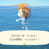 『あつまれ どうぶつの森』今月で虫/魚はコンプリート可能！ 海の幸にも初登場ありな「12月の新生物一覧」をお届け