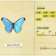 『あつまれ どうぶつの森』今月で虫/魚はコンプリート可能！ 海の幸にも初登場ありな「12月の新生物一覧」をお届け