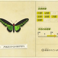 『あつまれ どうぶつの森』今月で虫/魚はコンプリート可能！ 海の幸にも初登場ありな「12月の新生物一覧」をお届け