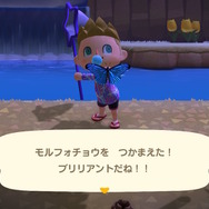 『あつまれ どうぶつの森』今月で虫/魚はコンプリート可能！ 海の幸にも初登場ありな「12月の新生物一覧」をお届け