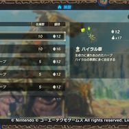 【吉田輝和の絵日記】ダイナミックな技や神獣を操って無数の敵を蹂躙！『ゼルダ無双 厄災の黙示録』