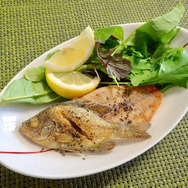 食べるとおいしい？『あつまれ どうぶつの森』で釣れる「ブルーギル」ってどんな魚？【平坂寛の『あつ森』博物誌】