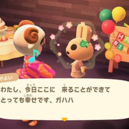 誕生日に『あつまれ どうぶつの森』をプレイしたら涙腺がゆるみまくってしまった話【年末年始特集】