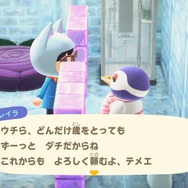 誕生日に『あつまれ どうぶつの森』をプレイしたら涙腺がゆるみまくってしまった話【年末年始特集】