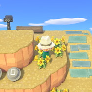 『あつまれ どうぶつの森』新潟県佐渡市の「さどが島」をバーチャル観光！ 夢見を使って、日本初の世界農業遺産を楽しもう