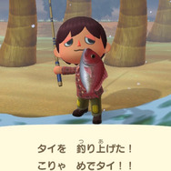【週刊インサイド】『あつまれ どうぶつの森』寒くて楽しい島の変化─『スマブラSP』「顔面変形」や「串刺し」!? 参戦映像で“痛い目”を見たファイターたちも要注目