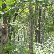 『かまいたちの夜』の舞台となったペンションに宿泊…！あの名シーンを妻と再現してきた【ネタバレ注意】