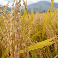 『かまいたちの夜』の舞台となったペンションに宿泊…！あの名シーンを妻と再現してきた【ネタバレ注意】