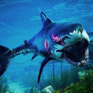 人喰いザメオープンワールド『Maneater』日本語版リリース！ 生態系の頂点を目指して喰いまくれ