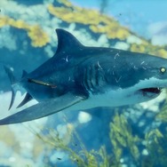 人喰いザメオープンワールド『Maneater』日本語版リリース！ 生態系の頂点を目指して喰いまくれ