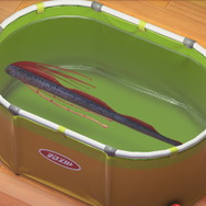 天変地異の前兆！？『あつまれ どうぶつの森』で釣れる「リュウグウノツカイ」ってどんな魚？【平坂寛の『あつ森』博物誌】