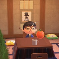 今年は帰省できないなら『あつまれ どうぶつの森』で実家を作ってしまえばいいじゃない！【年末年始特集】