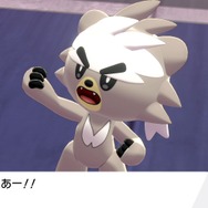 『ポケットモンスター ソード・シールド』注目記事まとめ─「鎧の孤島」「冠の雪原」で更に盛り上がったバトル&ファッションをチェック【年末年始特集】