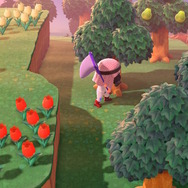 『あつまれ どうぶつの森』消えるまきエサに逃げる大物、狙った虫も見つからない！ 捕まえるのに苦労した生物ベスト8を振り返り【年末年始特集】