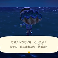 『あつまれ どうぶつの森』消えるまきエサに逃げる大物、狙った虫も見つからない！ 捕まえるのに苦労した生物ベスト8を振り返り【年末年始特集】