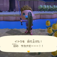 『あつまれ どうぶつの森』消えるまきエサに逃げる大物、狙った虫も見つからない！ 捕まえるのに苦労した生物ベスト8を振り返り【年末年始特集】