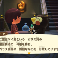 偕老同穴！『あつまれ どうぶつの森』に登場する「カイロウドウケツ」ってどんな生きもの？【平坂寛の『あつ森』博物誌】