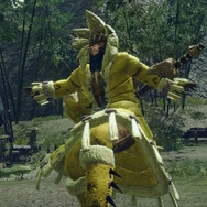 『モンスターハンターライズ』新マップ探索が楽しすぎてまさかの時間切れ！普通に遊ぶと気付けない、絶景ポイントに注目