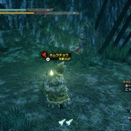 『モンスターハンターライズ』新マップ探索が楽しすぎてまさかの時間切れ！普通に遊ぶと気付けない、絶景ポイントに注目