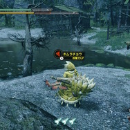 『モンスターハンターライズ』新マップ探索が楽しすぎてまさかの時間切れ！普通に遊ぶと気付けない、絶景ポイントに注目