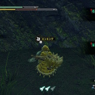 『モンスターハンターライズ』新マップ探索が楽しすぎてまさかの時間切れ！普通に遊ぶと気付けない、絶景ポイントに注目