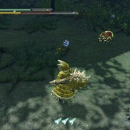 『モンスターハンターライズ』新マップ探索が楽しすぎてまさかの時間切れ！普通に遊ぶと気付けない、絶景ポイントに注目