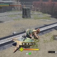 おかえり、アオアシラ！『モンスターハンターライズ』体験版に“もっふもふ”な姿で帰ってきた人気者に注目ーついハチミツをあげたくなるほどキュート