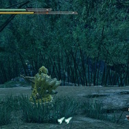 『モンスターハンターライズ』新マップ探索が楽しすぎてまさかの時間切れ！普通に遊ぶと気付けない、絶景ポイントに注目