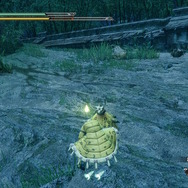 『モンスターハンターライズ』で過酷な肉焼きにチャレンジ!ゲストにタマミツネさんとオサイズチさん、大御所リオレイアさんをお招き