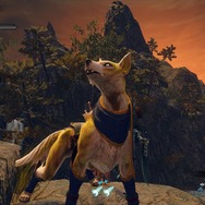 犬好きも寄っといで！ 『モンハンライズ』の「オトモガルク」が凛々しくて可愛い─アイルーと一緒に愛でたいフォトレポ