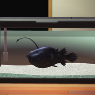 メスにオスが取り込まれる！？『あつまれ どうぶつの森』に登場する「チョウチンアンコウ 」ってどんな魚？【平坂寛の『あつ森』博物誌】